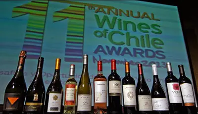 Experience Award-Winning Chilean Wines